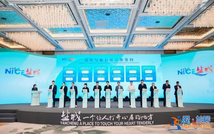 共繪發(fā)展藍圖！“NICE鹽城”文化旅游嘉年華活動舉行？