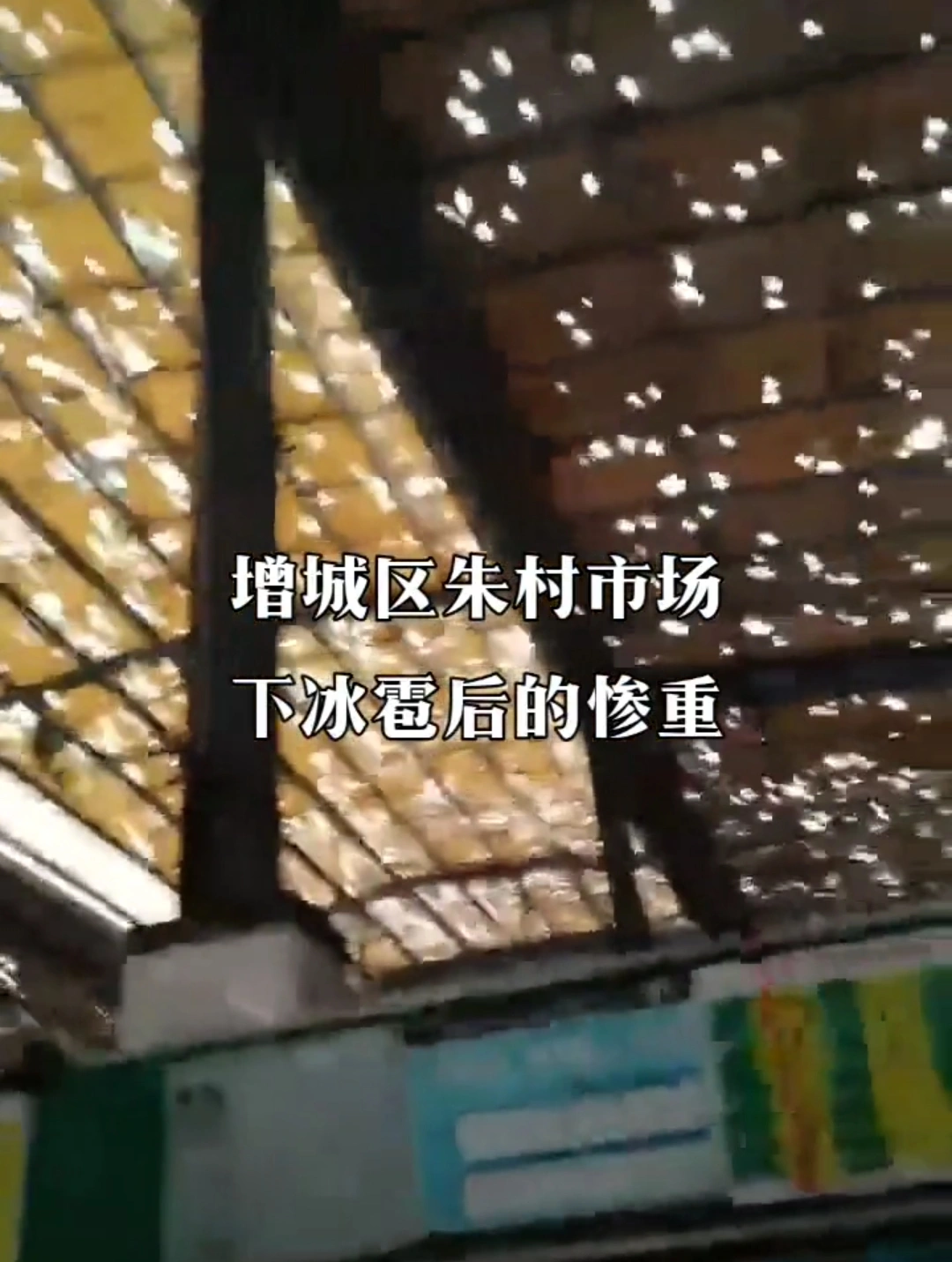 五十年都沒見過這么大的？
