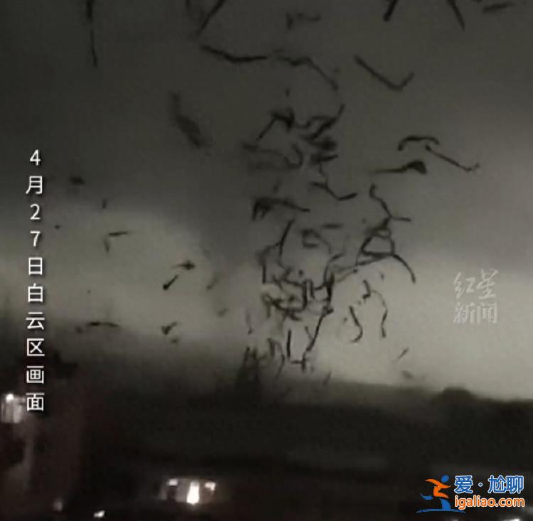 廣州龍卷風初步研判為3級強龍卷 威力有多大？如何預警和預防？？