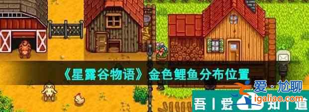 星露谷物語金色鯉魚分布位置 具體一覽？