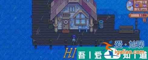 星露谷物語金色鯉魚分布位置 具體一覽？