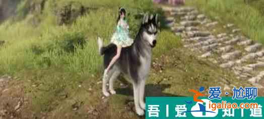 逆水寒哈士奇坐騎怎么獲得 逆水寒哈士奇坐騎獲得方法？