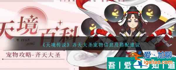 天境傳說齊天大圣寵物信息及搭配建議 具體一覽？