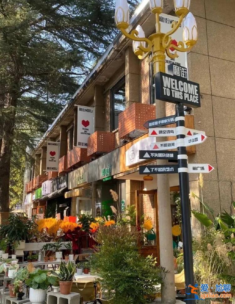 最高500萬 演出、組團旅游等都有獎？
