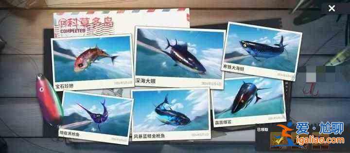 書名：快樂釣魚大師T3新地圖珍奇魚合集魚圖鑒合集？