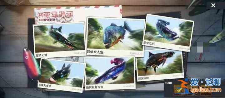 書名：快樂釣魚大師T3新地圖珍奇魚合集魚圖鑒合集？
