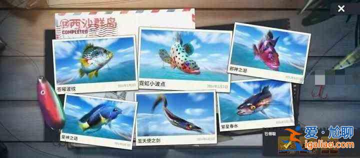 書名：快樂釣魚大師T3新地圖珍奇魚合集魚圖鑒合集？
