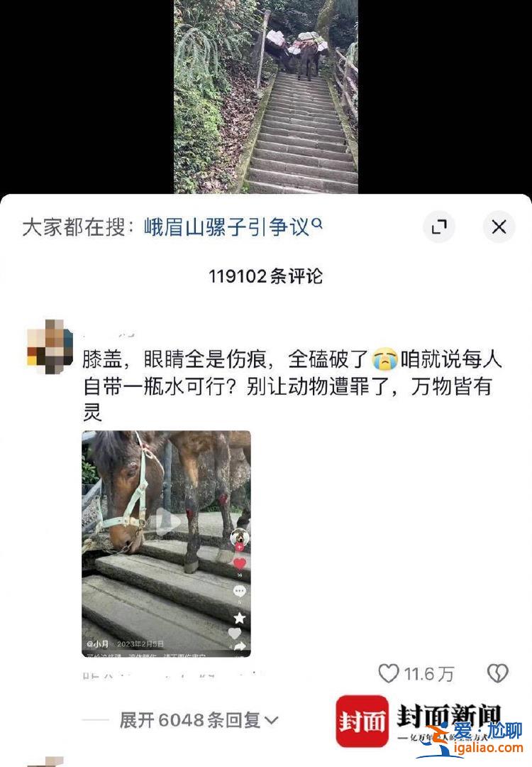 是村民的家畜 健康狀況良好？