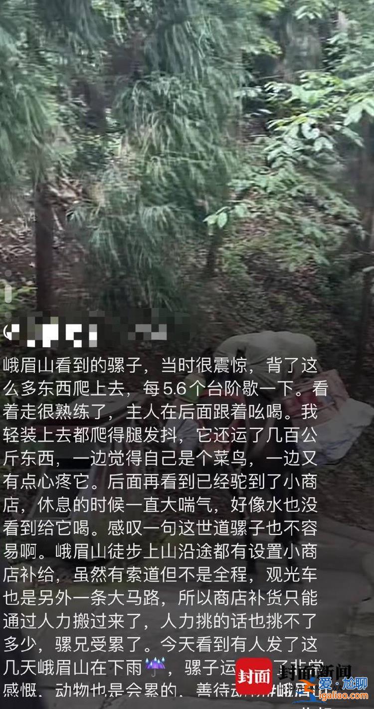 是村民的家畜 健康狀況良好？