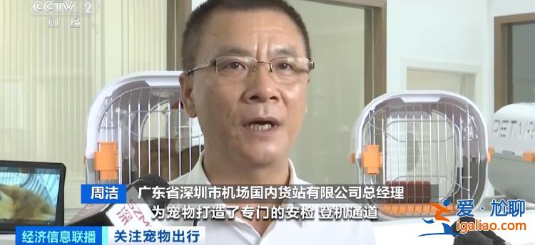 貓狗分區(qū) 獨(dú)立候機(jī) 全國(guó)首家寵物候機(jī)廳在深圳機(jī)場(chǎng)啟用？