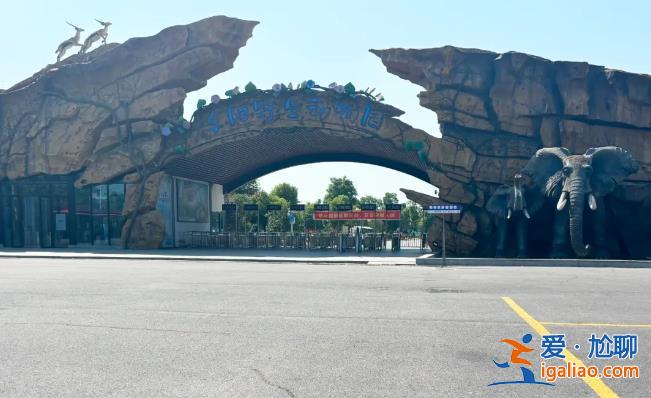 野生動物園20只東北虎死亡！細節(jié)披露？