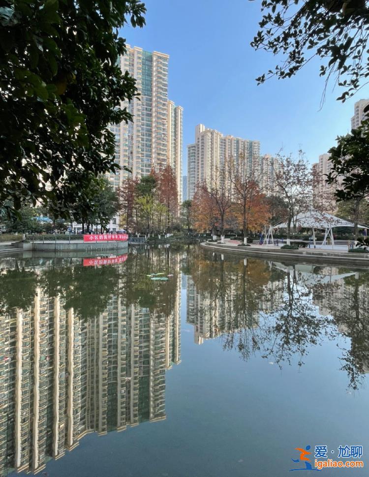 “向物業(yè)追討4000萬(wàn)”后 上?！白钆I(yè)委會(huì)”再次面臨挑戰(zhàn)？