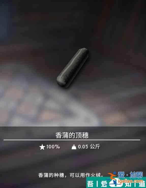 漫漫長夜香蒲的頂穗有什么用 香蒲的頂穗作用分享？