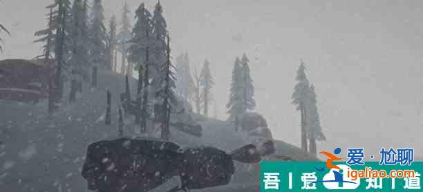 漫漫長夜樹枝有什么用 樹枝作用分享？