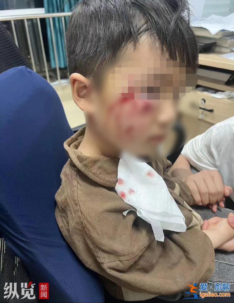 只希望盡快找到狗主人？