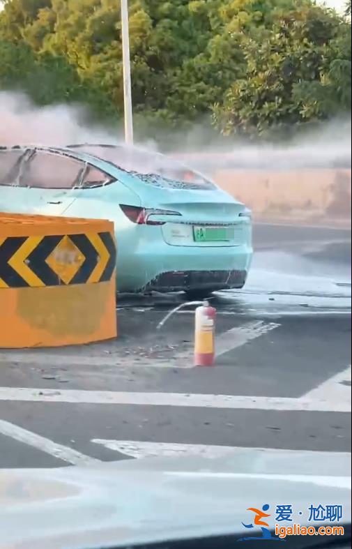 上海S2高速一新能源轎車發(fā)生單車著火事故 明火已撲滅？