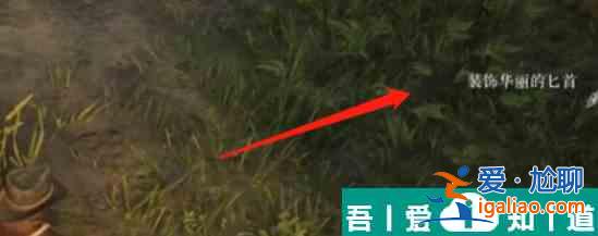 荒野大鏢客2傳說中的吸血鬼具體在哪 具體位置介紹？