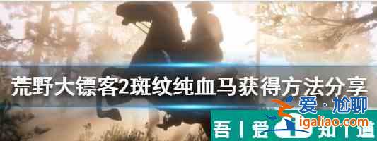 荒野大鏢客2開(kāi)局怎么獲取純血馬 獲得純血馬方法？