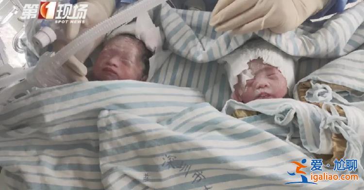 夫妻月收入約1萬 妻子辭職后養(yǎng)6個孩子壓力特別大？