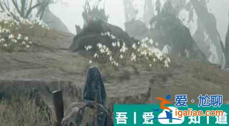 七日世界橘子鎮(zhèn)神秘寶藏怎么開啟 七日世界橘子鎮(zhèn)神秘寶藏開啟方法？