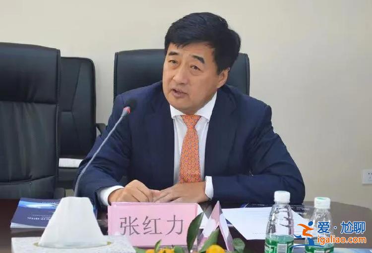 中國工商銀行原副行長張紅力被公訴！曾騙取博士學(xué)位？