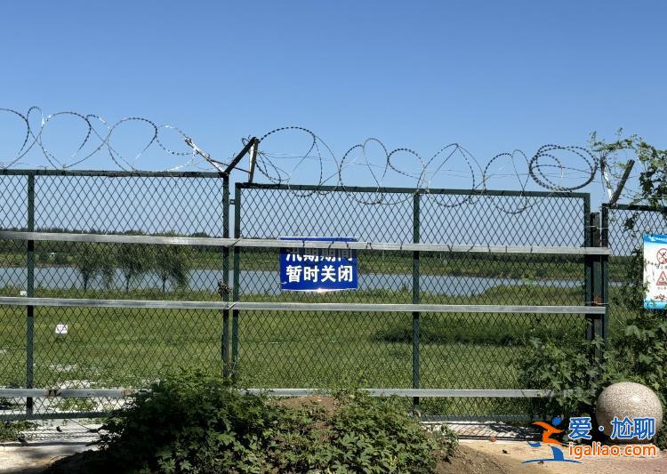 64歲的農(nóng)民老趙 與北京火鍋店老板一起下河救人？