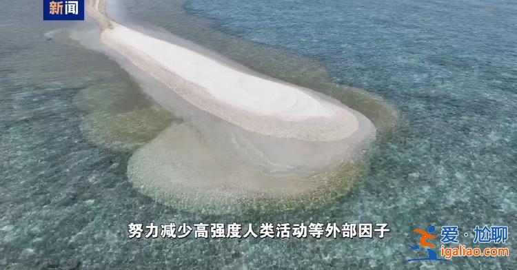 菲方炮制言論毫無科學(xué)和事實依據(jù)？
