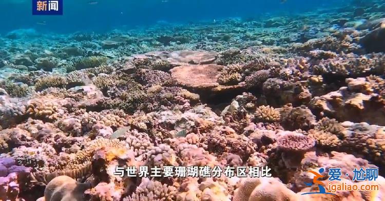 菲方炮制言論毫無科學(xué)和事實依據(jù)？