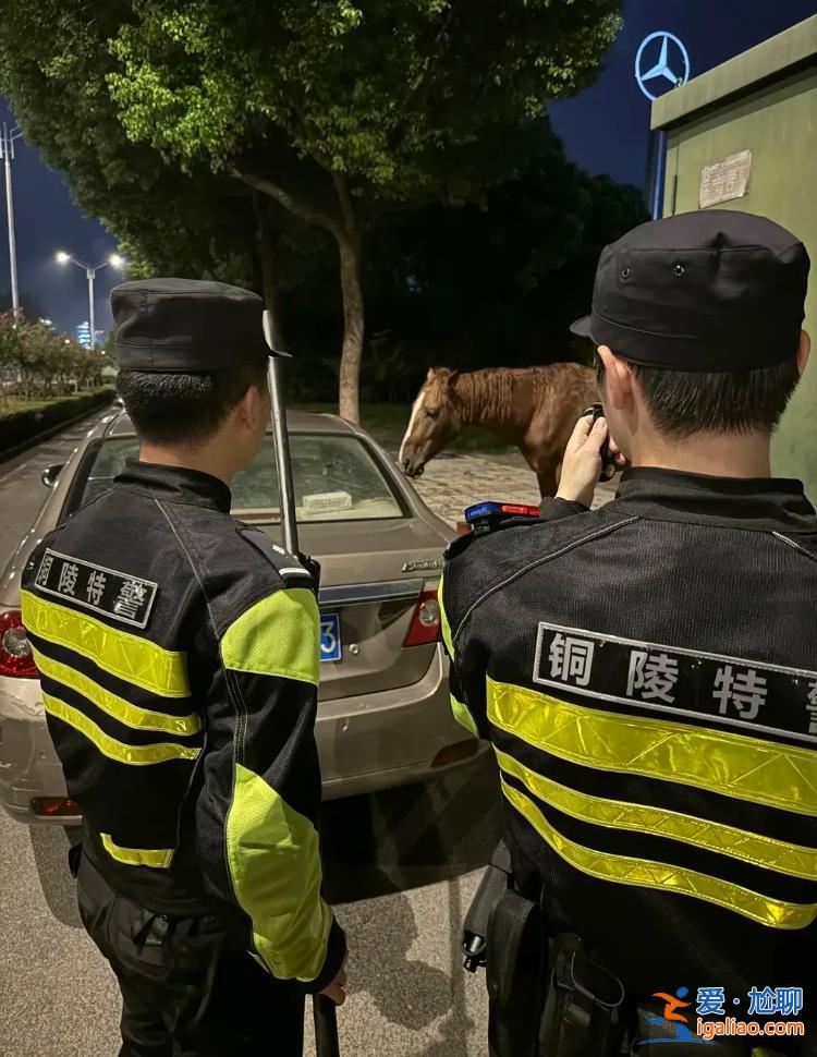 情緒穩(wěn)定 只是不愿意離開？