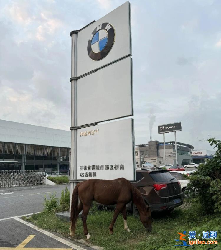 情緒穩(wěn)定 只是不愿意離開？