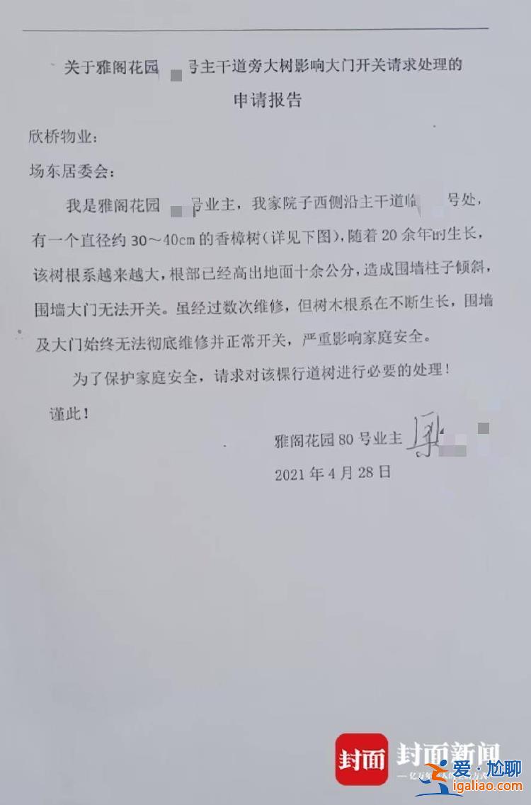 上海一業(yè)主砍伐院外樹木被罰3萬元 曾稱香樟樹影響生活已向多方反映？