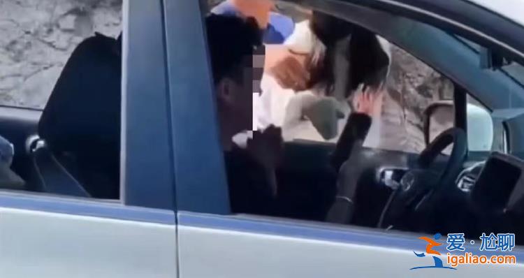 逆行還打人！法律的板子要讓打人者感到疼？