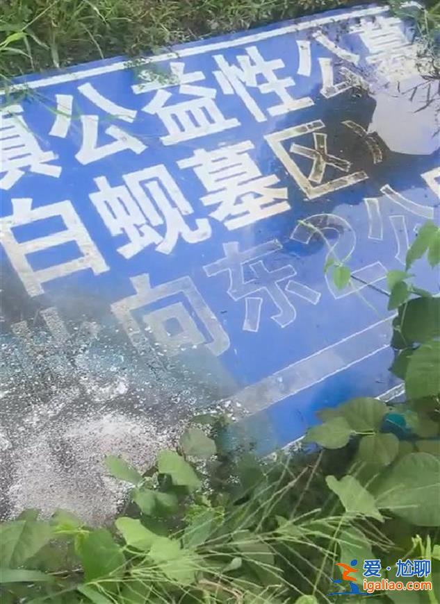 屬實(shí) 5月已處理相關(guān)負(fù)責(zé)人？