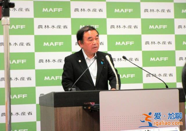 “昨天我問店員 說周三會進貨” 日本高管回應(yīng)“大米荒”言論引爭議？