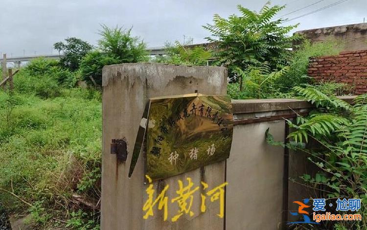 種豬場因高鐵施工倒閉 企業(yè)主稱損失超千萬 施工方補(bǔ)償僅5萬元？
