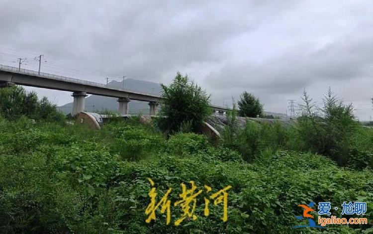 種豬場因高鐵施工倒閉 企業(yè)主稱損失超千萬 施工方補(bǔ)償僅5萬元？