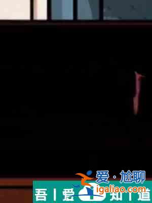 隱秘的檔案盒子通關(guān)攻略 具體一覽？