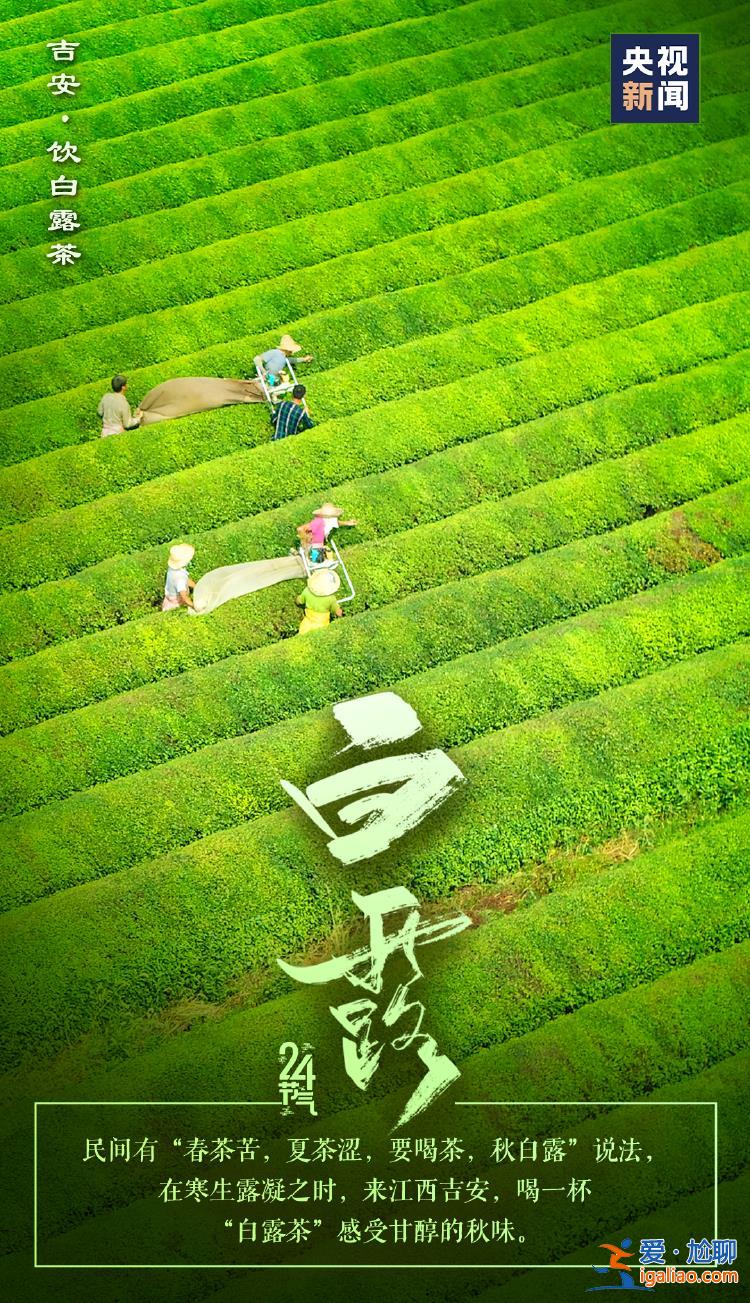 今日白露 明媚的仲秋時節(jié)正式登場？