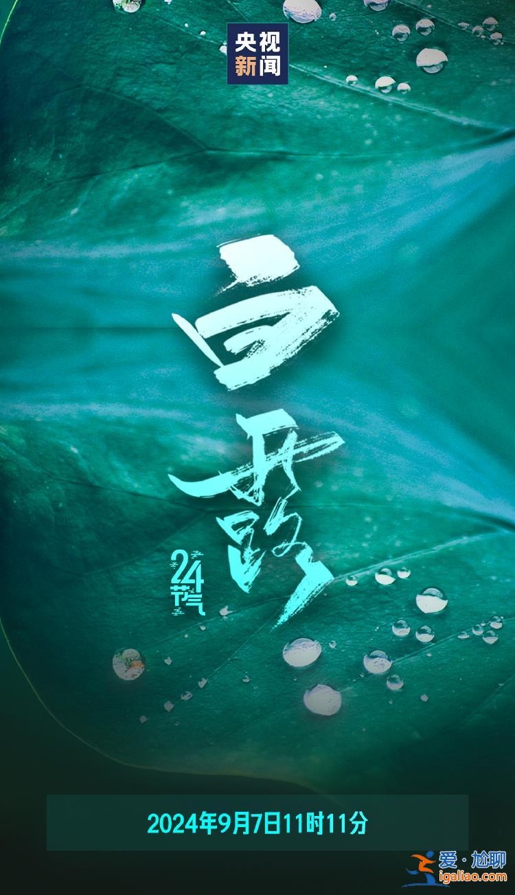 今日白露 明媚的仲秋時節(jié)正式登場？