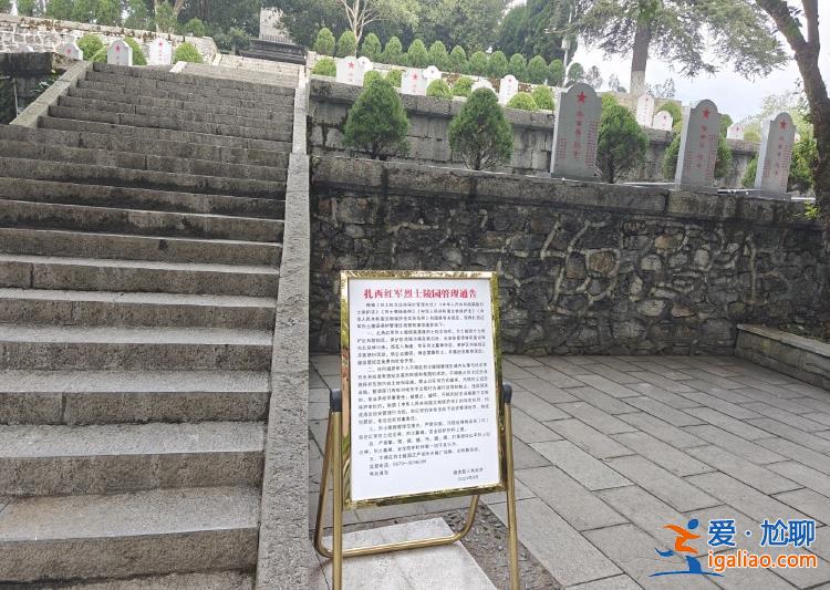 入口公布管理通告 安排人員巡查？