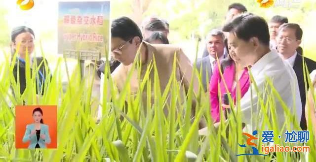 出席峰會后 多國總統(tǒng)的“其他行程” 有一個關(guān)鍵信息？