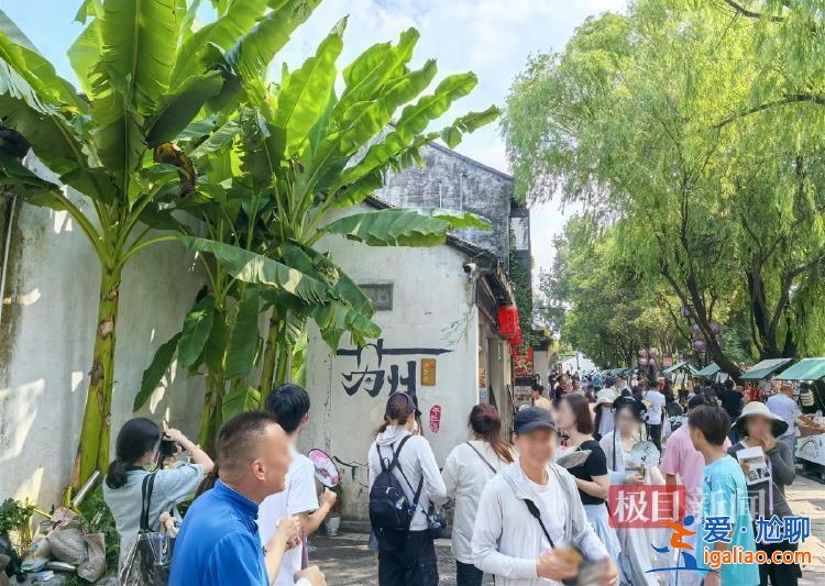 有安保值守 攝影師稱未在景區(qū)見(jiàn)過(guò)傷人者？