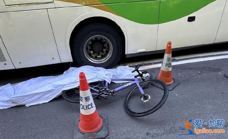 31歲內(nèi)地女網(wǎng)紅在香港騎行遭遇車禍身亡 司機(jī)已被拘捕？