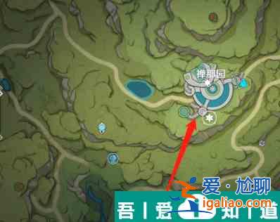 原神證悟木在哪砍*快 具體一覽？