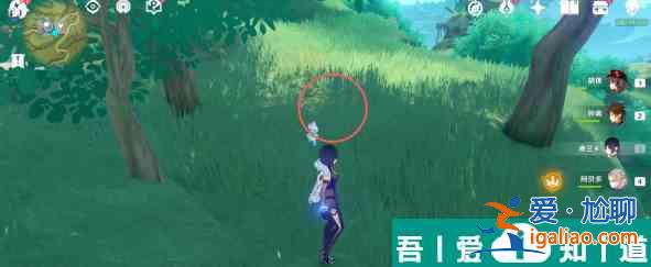 原神證悟木在哪砍*快 具體一覽？