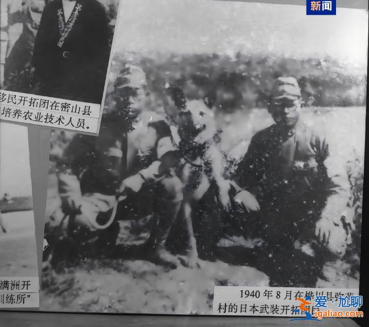 實(shí)證日本妄圖長期占領(lǐng)我國東北！侵華日軍“滿洲農(nóng)業(yè)移民入植圖”首次展出？