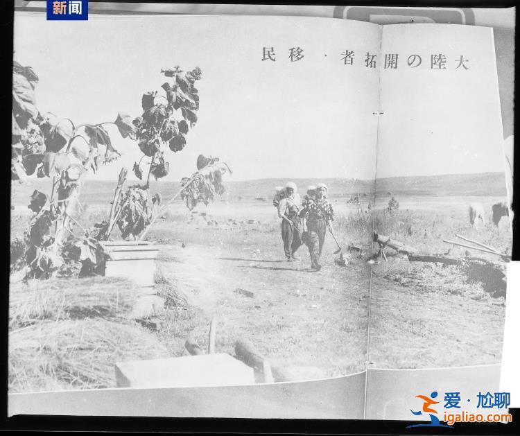 實(shí)證日本妄圖長期占領(lǐng)我國東北！侵華日軍“滿洲農(nóng)業(yè)移民入植圖”首次展出？