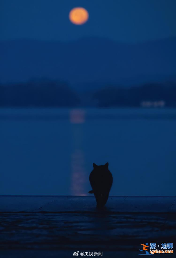 中秋夜再遇“超級月亮” 日落后一個多小時(shí)是賞月最佳時(shí)段？