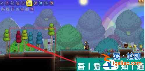 泰拉瑞亞棱光草蝶怎么用 具體一覽？