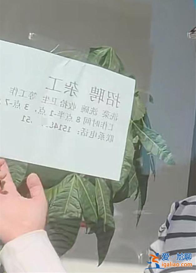 未罰款 僅口頭教育？